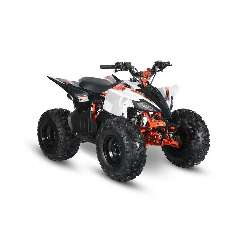 Mini Quad AT110 Predator 110cc Automatico 4 Tempi  