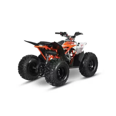 Mini Quad AT110 Predator 110cc Automatico 4 Tempi 