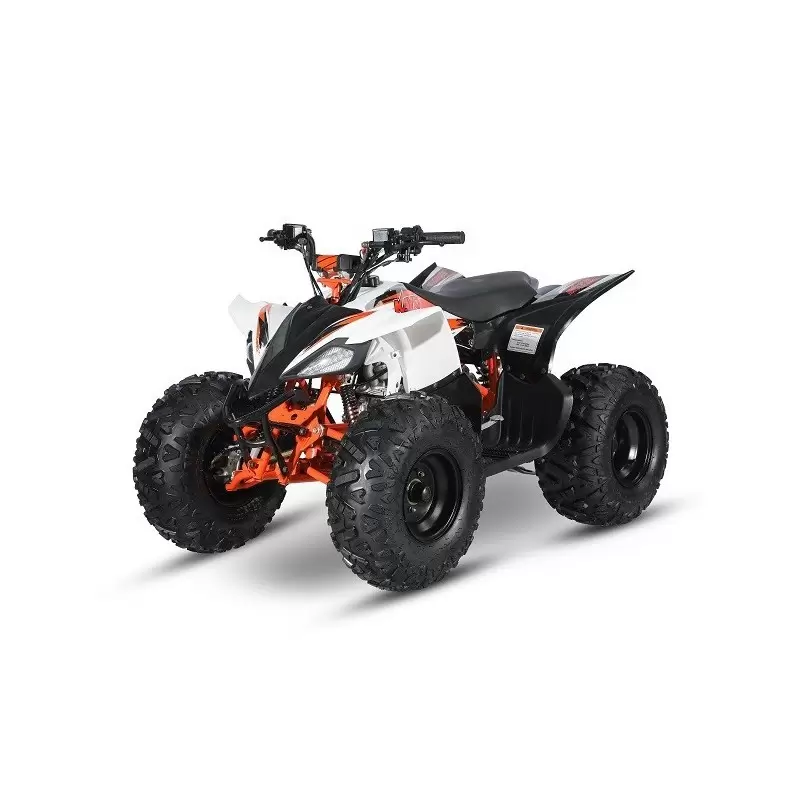 Mini Quad AT110 Predator 110cc Automatico 4 Tempi  